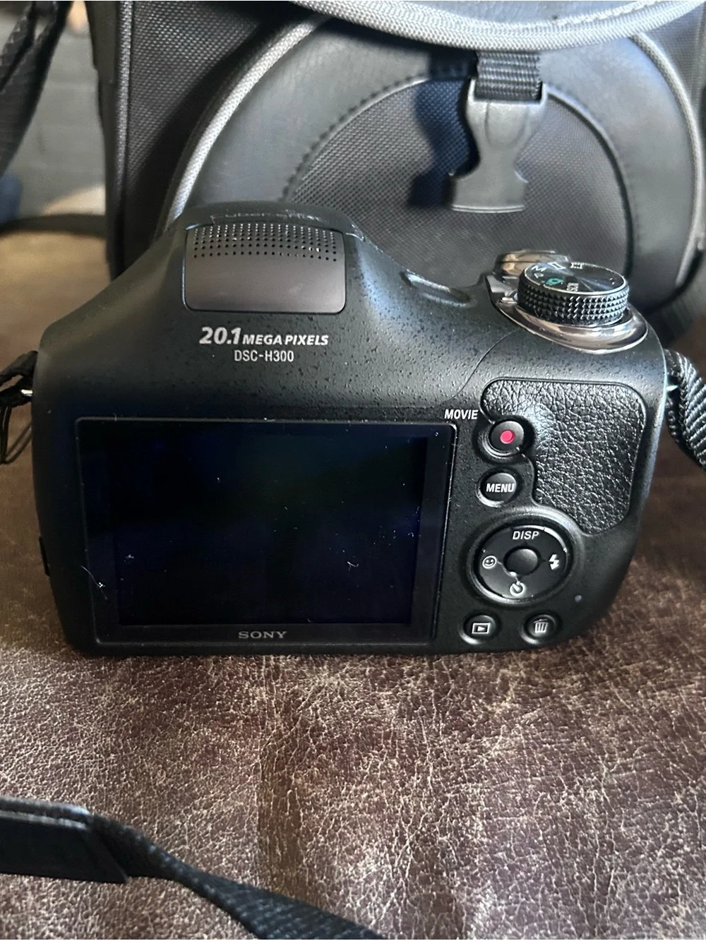 Sony Cyber-shot Black Bridge Camera with Carry Case
